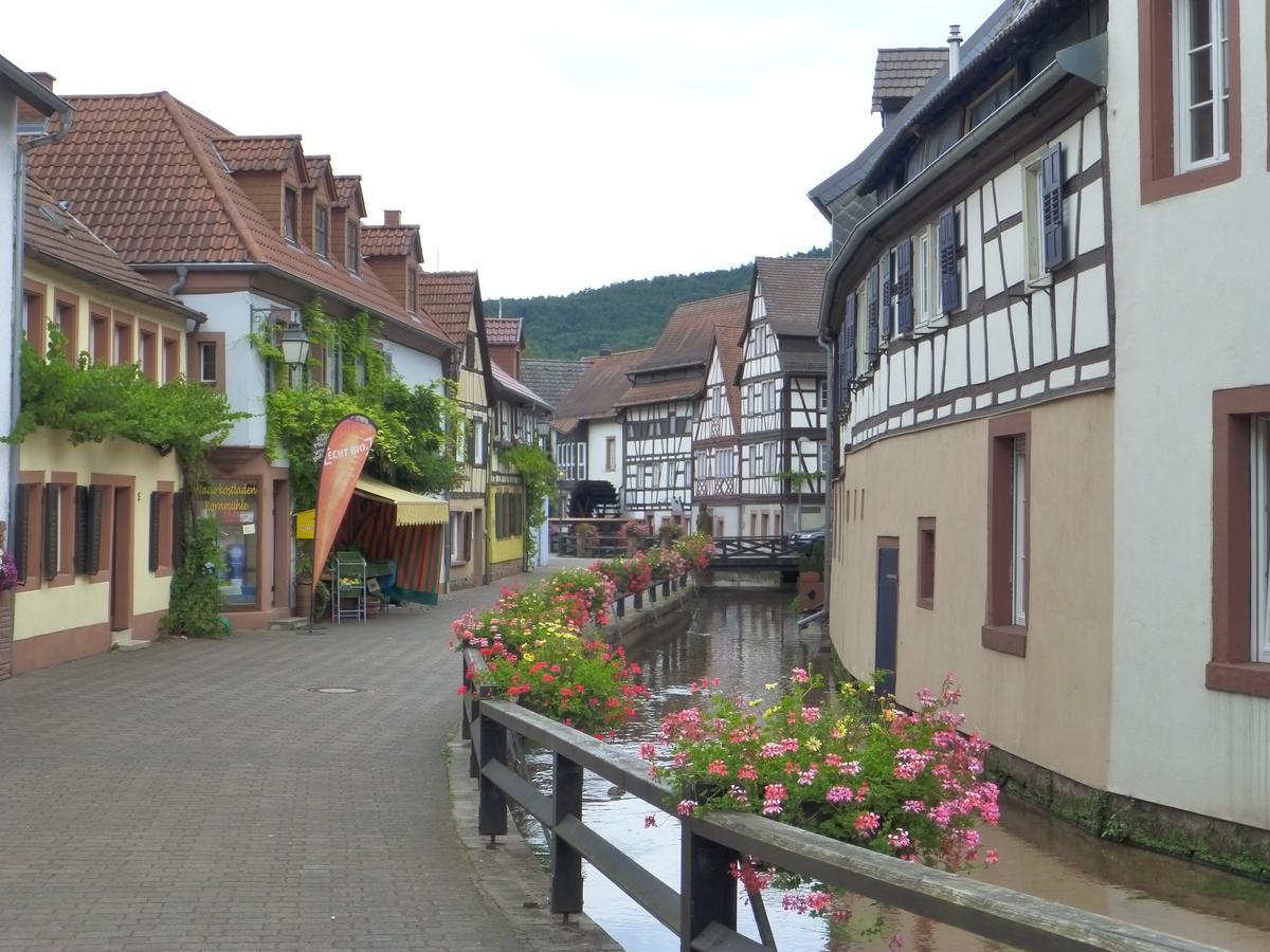 Villa Waldfrieden - Design Trifft Budget Annweiler am Trifels Ngoại thất bức ảnh